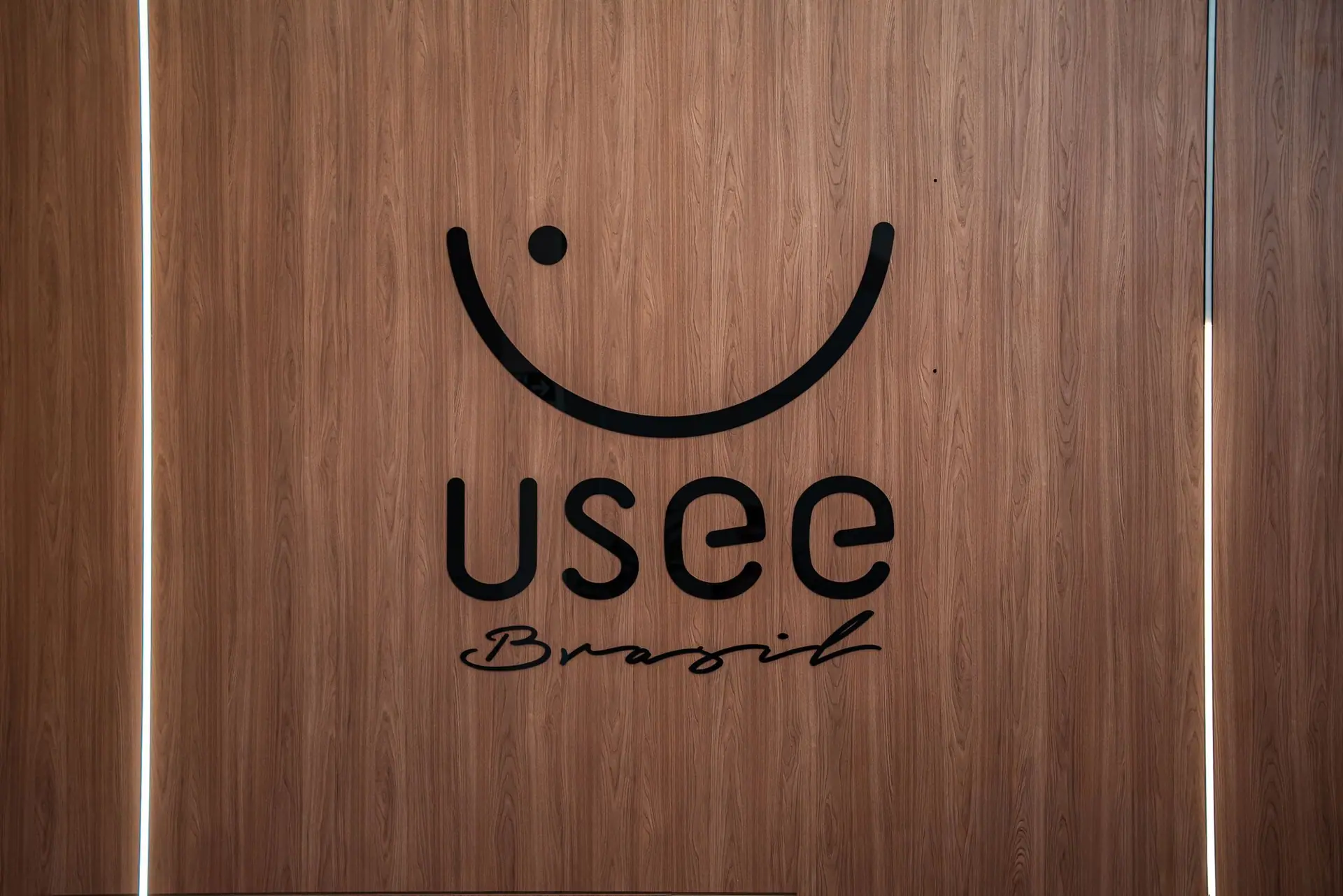 Logotipo da Usee Brasil em relevo sobre painel de madeira.
